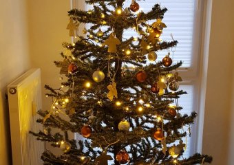 Decorated Christmas tree in the avitea house