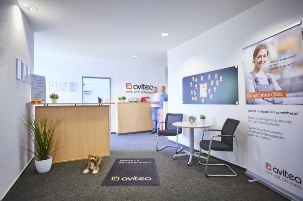 avitea hallway in Paderborn with dog